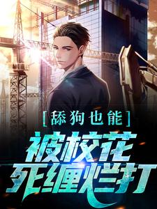 主人公叫宋诚孙颖的小说哪里免费看