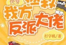 主角叫 落渺墨云流小说快穿:保护我方反派大佬章节免费阅读-瑞奇文学