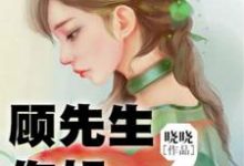 寻找能够免费阅读顾先生，你好小说的平台-瑞奇文学