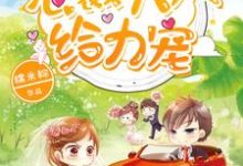 姜浅陆辞尧周周嘟嘟小说叫什么（1胎2宝：总裁大人，给力宠免费阅读）-瑞奇文学