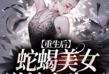 小说《重生后,蛇蝎美女逆转人生了》在线章节阅读-瑞奇文学