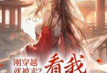 李安宁的小说在哪里看?免费在线阅读刚穿越,就被卖?看我逆袭人生-瑞奇文学