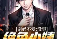 亲妈不爱?没事,绝色小姨超宠我免费阅读,亲妈不爱?没事,绝色小姨超宠我陈野沈清欢-瑞奇文学