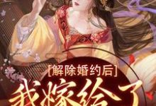 苏梨李承衍的故事在哪本书里？免费阅读解除婚约后，我嫁给了东宫之主-瑞奇文学