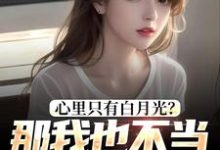 已完结小说《心里只有白月光?那我也不当你舔狗了》章节免费阅读-瑞奇文学