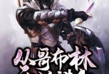 小说《从哥布林开始进化》章节阅读-瑞奇文学