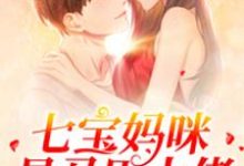 小说《七宝妈咪是马甲大佬》章节阅读-瑞奇文学