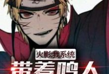 火影：我系统，带着鸣人当叛忍！小说有没有完结版在线？-瑞奇文学