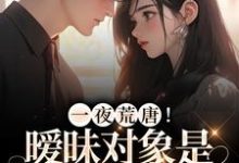 一夜荒唐!暧昧对象是前夫他亲哥小说最新更新在哪里?免费在线看-瑞奇文学