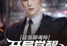 最强御魂师，开局觉醒SSS级武魂小说阅读，最强御魂师，开局觉醒SSS级武魂完结版-瑞奇文学