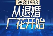 逆袭1983，从退婚厂花开始免费阅读，逆袭1983，从退婚厂花开始章节在线阅读-瑞奇文学