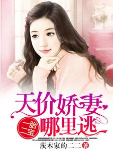 一胎二宝：天价娇妻哪里逃小说最新更新在哪里？免费在线看