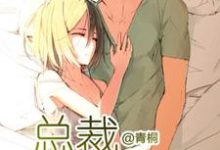 已完结小说《总裁宠妻无度》章节在线阅读-瑞奇文学