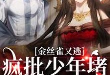 小说《金丝雀又逃,疯批少年堵巷红了眼》章节免费阅读-瑞奇文学