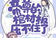 帝尊的棺材板压不住了免费阅读，帝尊的棺材板压不住了楚晚璃帝璃渊-瑞奇文学