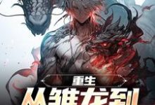 重生:从雏龙到寰宇之王免费阅读,重生:从雏龙到寰宇之王章节在线阅读-瑞奇文学
