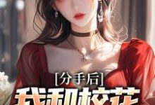 分手后,我和校花成了室友章节免费在线阅读,陈子安苏婉柔完结版-瑞奇文学