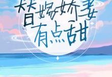 想读苏颜兮顾西城洛千婷苏小北的故事，哪里可以免费找到替嫁娇妻有点甜？-瑞奇文学