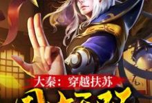 《大秦：穿越扶苏，国士无双》小说扶苏胡亥章节章节免费在线阅读-瑞奇文学