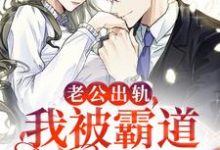 老公出轨，我被霸道总裁盯上了小说全文阅读需要付费吗？寻找免费资源-瑞奇文学