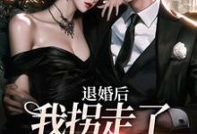 《退婚后，我拐走了未婚夫小叔》小说大结局免费试读 林予薏时斯域林家徐千凝时渠琦小说-瑞奇文学