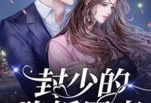 封少的隐婚罪妻最新章节,封少的隐婚罪妻章节在线阅读-瑞奇文学