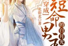 穿成短命男主的白月光最新章节，穿成短命男主的白月光免费阅读-瑞奇文学