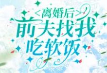 离婚后,前夫找我吃软饭小说的最新章节在哪里更新?免费追踪阅读-瑞奇文学