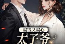 完结版《骗钱又骗心，太子爷追妻路漫漫》章节阅读-瑞奇文学