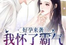 在线寻找好孕来袭：我怀了霸气军官的崽子小说的无删减版本-瑞奇文学