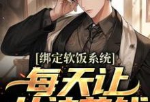 《绑定软饭系统,每天让女神花钱》全集免费在线阅读(陈启)-瑞奇文学