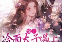 惊！冷面太子遇上刁蛮女杀手宋窈南宫燚，惊！冷面太子遇上刁蛮女杀手最新章节-瑞奇文学