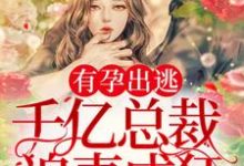 有孕出逃:千亿总裁追妻成狂免费阅读,有孕出逃:千亿总裁追妻成狂章节在线阅读-瑞奇文学