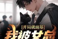 开局就面基,我被女总裁甩了叶青宋瑾瑶小说在线章节目录阅读最新章节-瑞奇文学
