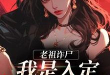 老祖诈尸:我是入定,不是羽化!小说的免费阅读版本在哪里可以找到?-瑞奇文学