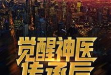 觉醒神医传承后，拿女神试手小说全文阅读需要付费吗？寻找免费资源-瑞奇文学