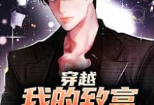 穿越：我的致富之路不入刑小说完结了吗？在哪里可以免费读到？-瑞奇文学