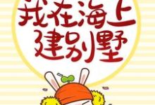 陆星辰小说《内卷丧命后,我在海上建别墅》在线阅读-瑞奇文学