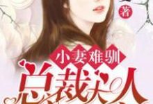 完结版《小妻难驯：总裁大人蜜蜜宠》在线免费阅读-瑞奇文学