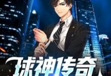 球神传奇:进球无极限林楚小说完结版章节在线阅读-瑞奇文学