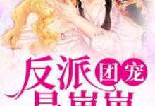 《反派团宠是崽崽》小说章节列表免费试读，宁团团系统小说在线阅读-瑞奇文学