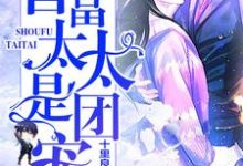 完整版的首富太太是团宠小说在哪里可以免费读到?-瑞奇文学