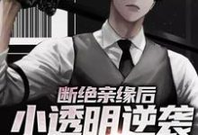 完结版《断绝亲缘后，小透明逆袭成商业新贵》章节目录在线阅读-瑞奇文学