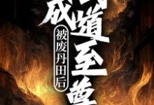《被废丹田后,我成武道至尊》小说章节在线试读,《被废丹田后,我成武道至尊》最新章节目录-瑞奇文学