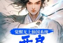 觉醒无上仙国系统，开启逆袭人生徐病纪沅小说完结版章节在线阅读-瑞奇文学