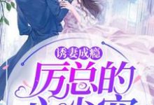 诱妻成瘾：厉总的心尖宠顾晚莞厉霖川，诱妻成瘾：厉总的心尖宠小说免费阅读-瑞奇文学