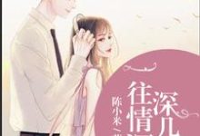一往情深深几许小说,一往情深深几许免费阅读-瑞奇文学