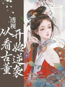 小说《透视：从看古董开始逆袭》章节阅读