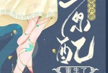 孙丽芳周允石小说《暴发户的原配重生了》在线阅读-瑞奇文学