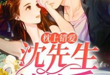 枕上错爱：沈先生请放手小说阅读，枕上错爱：沈先生请放手完结版-瑞奇文学